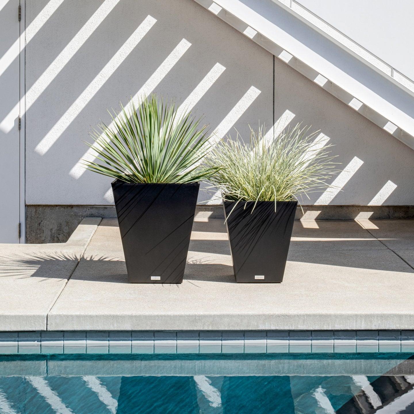 Modern Low Rectangular Planter